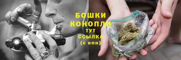 прущий лед Заводоуковск