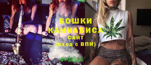 прущий лед Заводоуковск