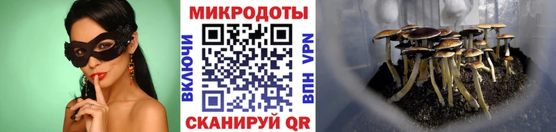 Купить закладки  Истра  Псилоцибиновые грибы MAGIC MUSHROOMS 